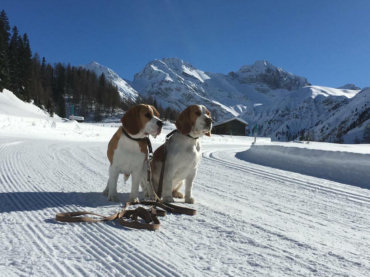 Sertig Ferienwohnung Davos Exteriör bild